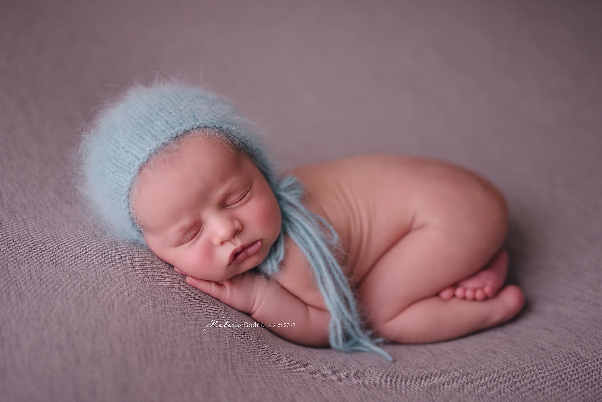 17016085_1365699623504821_2651937273782619942_o