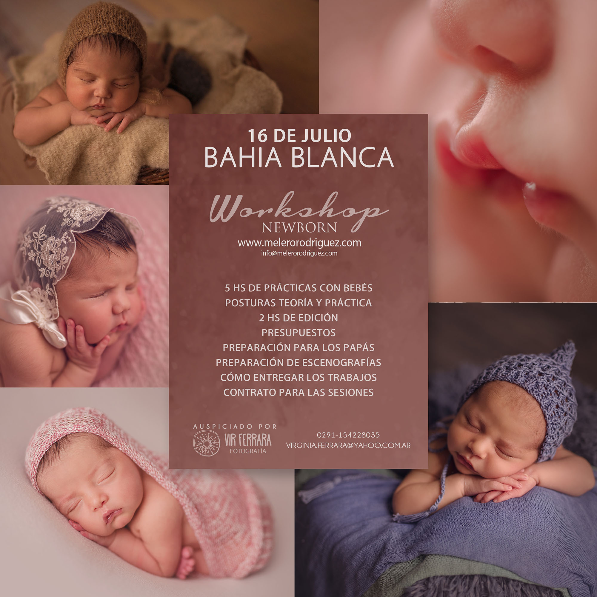 Grafica Julio16 Bajia web